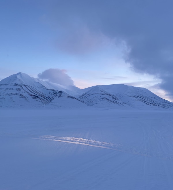 Landskapsbilde av snø og lave fjell med blåaktig lys