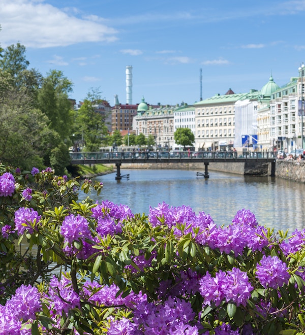 Kanal sentralt i Gøteborg. Fokus er på blomstrende Rhododendron.