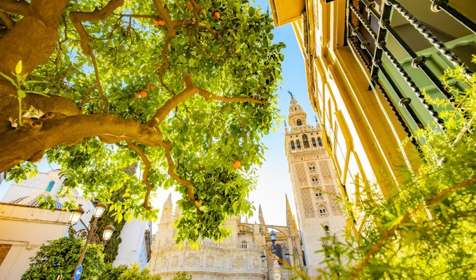 Naturskjønn utsikt over Sevillas gamle bysilhuett, Spania reisebilde