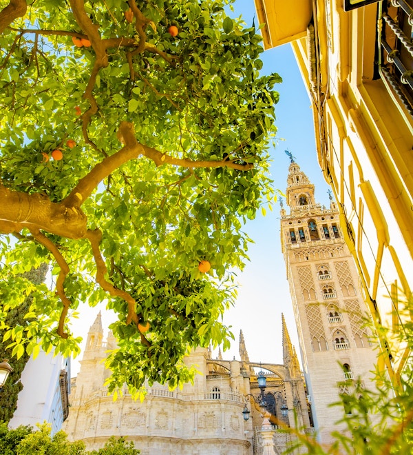 Naturskjønn utsikt over Sevillas gamle bysilhuett, Spania reisebilde