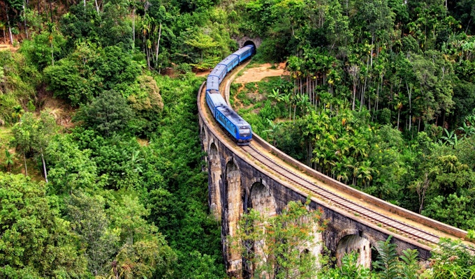 En bro som går over frodig skog med et tog som er i ferd med å kjøre over