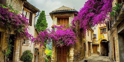 Provence annonse
