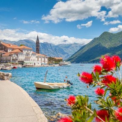Naturskjønn panoramautsikt over den historiske byen Perast ved den berømte Kotor-bukten med blomstrende blomster på en vakker solrik dag med blå himmel og skyer om sommeren, Montenegro, Sør-Europa