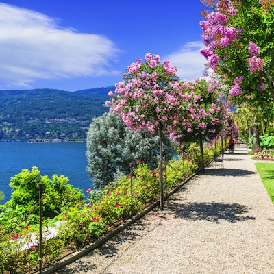 vakre blomsterhager i Lago Maggiore
