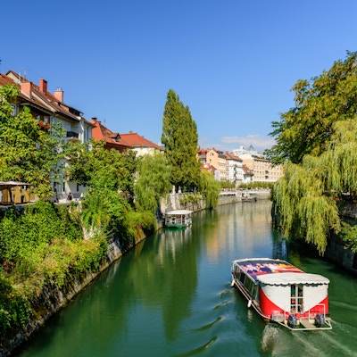 den naturskjønne Ljubljanica-elven med gråtende selger på vollet, Ljubljana, Slovenia