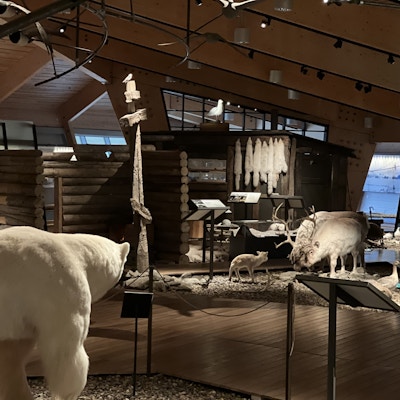 Svalbard museums utstilling «liv i lys og is»