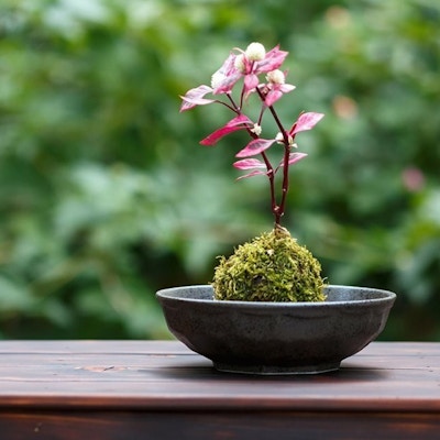Enkel, rosa plante i en skål på et bord med grønn og frodig bakgrunn.