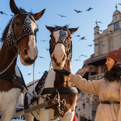 Kvinne og hester i Krakow om vinteren