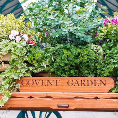 LONDON, Storbritannia - 20. juli 2018: Blomsterfylt vogn ved Londons berømte gamle blomstermarked, Covent Garden.