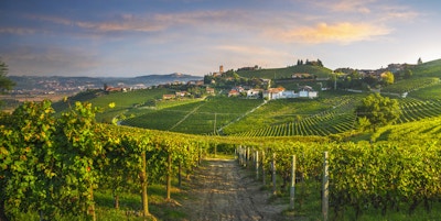 Barbaresco landsby og Langhe vingårder, Unesco Site, Piemonte, Nord-Italia Europa.