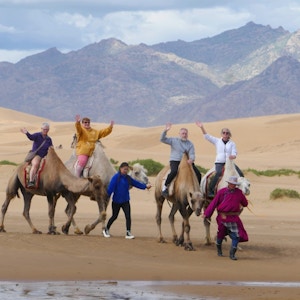 Mongolia kamel NY