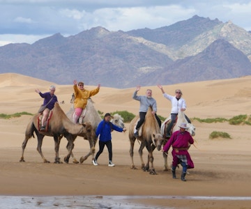 Mongolia kamel NY