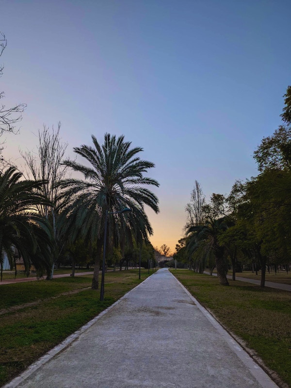 Soloppgang i parken i Valencia, palmetrær og grusvei