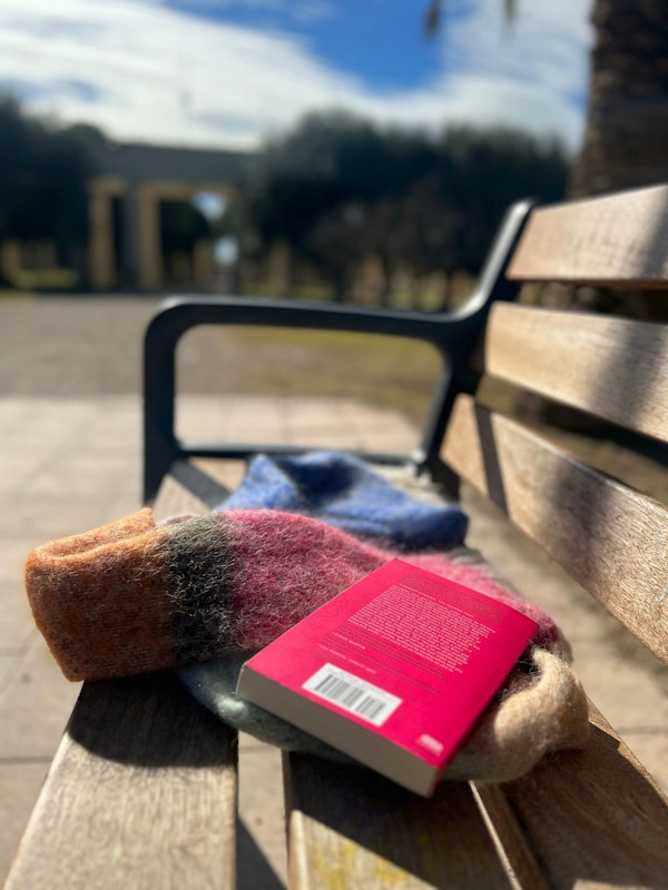 Bok og skjerf ligger på benk i park i sola, Valencia Spania