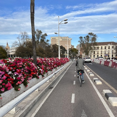 Sykkel over bro med rosa blomster i Valencia, Spania