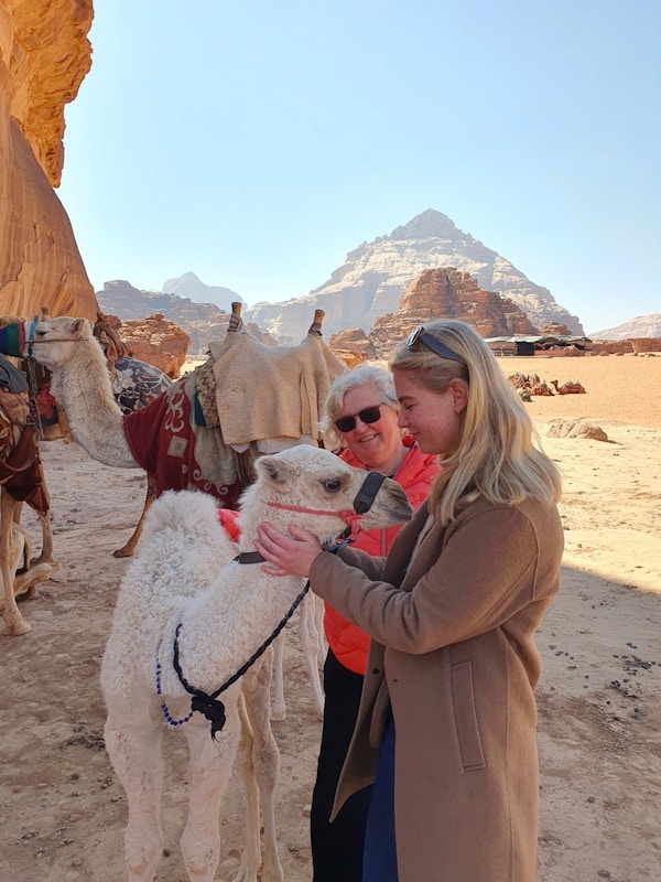 Kamelbaby vil ha kos Wadi Rum