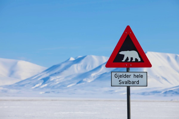 Svalbard Isbjornskilt