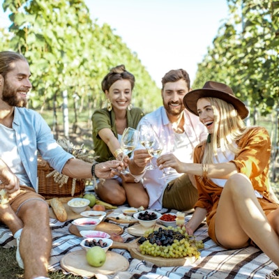 Friends on picnic in vineyard Praha