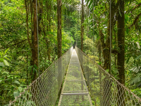 Hengebro i naturlig regnskogspark, Costa Rica