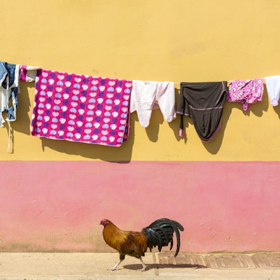 Tørking av klær på snor med kylling med fargede vegger i bakgrunnen. Guatape, Colombia