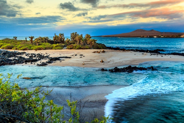 Havutsikt hvis en av øyene på Galapagos