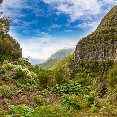 Vakker landskap på øya Madeira med sti nær "Levada" til fossen