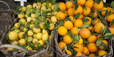 Kurver med appelsiner og sitroner utendørs i Sorrento