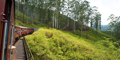 Reis med tog gjennom naturskjønne fjellandskap i Nuwarelia, Sri Lanka